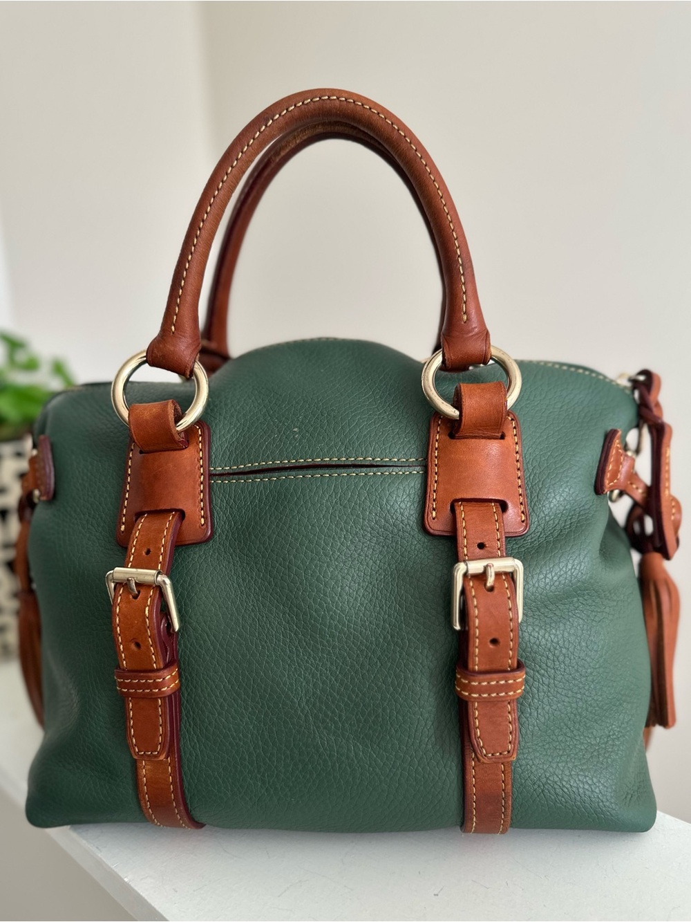 Dooney & Bourke Bristol Satchel in Ivy Green - Picture 4 of 16
